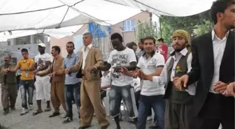 Afrikalı Futbolcular, Hakkari'de Düğüne Katıldı