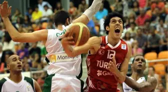 Basketbol: 2013 Avrupa Şampiyonası Elemeleri