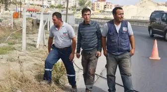 Kamyon Tellere Takıldı, Direkte Çalışan İşçi Yere Düştü