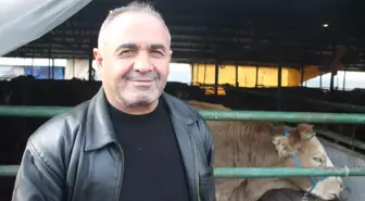 Kurban Fiyatları Düşecek