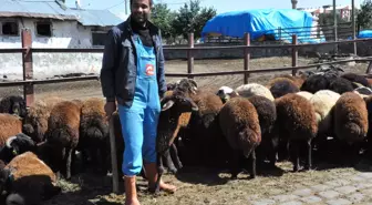 Kuraklık Besicileri Zor Durumda Bıraktı