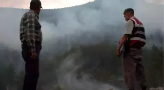 Bolu'da Orman Yangını