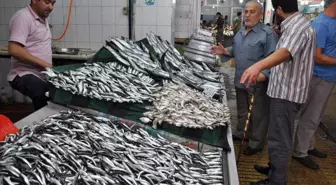 Kocaeli'de Balık Fiyatları