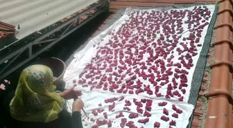 Ekşi Tarhana Çatıda