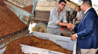 Anisa Ticaret Borsası