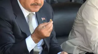 Bakan Eroğlu Cevizin Faydalarını Anlattı