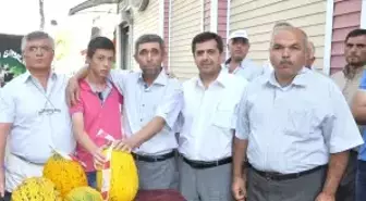 Dünyaca Ünlü Kırkağaç Kavunları Yarıştı