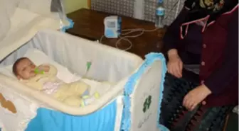 Yaşam Savaşı 15 Günlükken Başladı