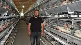 Yumurta Fiyatı İki Katına Çıktı