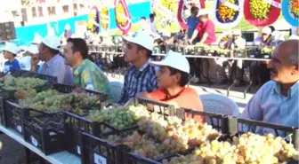 20. Kültür Turizm ve Üzüm Festivali İncesu'da Yapıldı