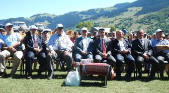 Ahi Lideri Şeyh Mustafa Giresun'da İlk Kez Anıldı