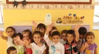 'Küçük Adımlar' Amway ile Büyüyor!