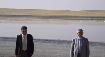 Flamingolar Düden Gölü'ne Veda Ediyor