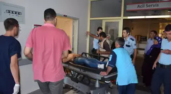 Şanlıurfa'da Üç Kaza: 2 Ölü, 2 Yaralı