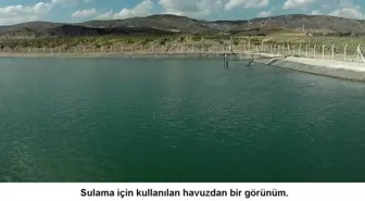 Kabalı Köyünde Meyvecilik