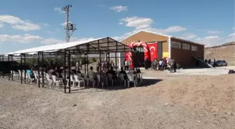 Mısır Silaj Tesisi Açılışında Haşlanmış Mısır İkramı