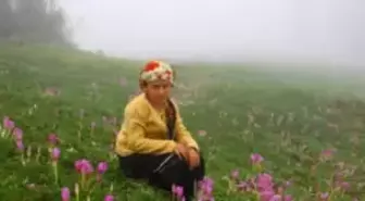 Stresten Kaçanlar Yaylaya Gidiyor