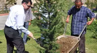 Keskin'inde Sertifikalı Ağacı Oldu