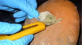 200 Kilo Esrar ile Yakalanan 3 Sanığa 7'şer Yıl Hapis