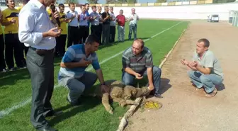 Tayfunspor Sezonu Açtı