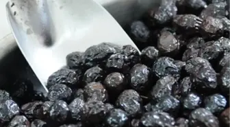 Bursa Ticaret Borsası