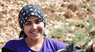 Ağaçlandırma Şampiyonu Mersin Rekora Gidiyor