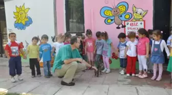Hayvan Hakları Gününde Ziyaretçi Akını