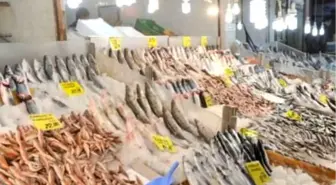 Kocaeli'de Balık Fiyatları