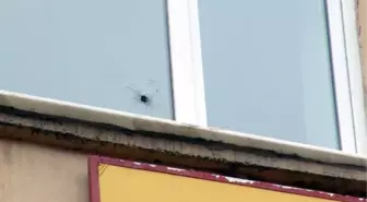 Malatya'da BDP İl Binasına Silahlı Saldırı