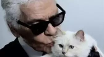 Dünyanın En Şanslı Kedisi: Choupette