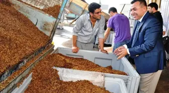 Manisa Ticaret Borsası