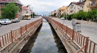 Su Kanalındaki Tüm Canlılar 2 Günde Öldü