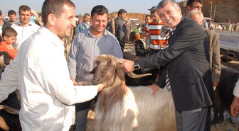 Manavgat'ta Kurban Bayramı Hazırlıkları