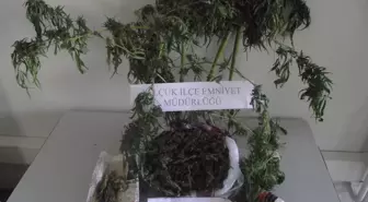 Selçuk'ta Uyuşturucu Operasyonu