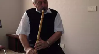 Ded Kocaeli'de Hafta Sonu Etkinlikleri Devam Ediyor