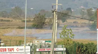 Anız Yangınını İtfaiye Söndürdü