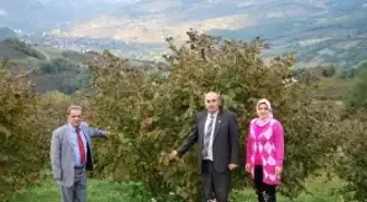 19 Mayıs'ta Organik Tarım Çalışması