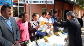 Organik Kavun Yetiştiren Üreticilere Sertifikaları Verildi