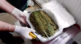 Nevşehir'de Uyuşturucu Operasyonu