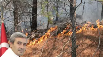 Ormanda Hummalı Çalışma Sürüyor