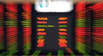 Yatırımcı Rehberi