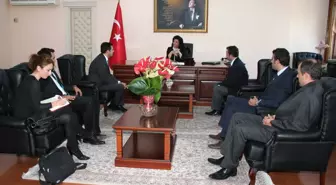 Yalova'ya Kalıpçılar Vadisi Kurulacak