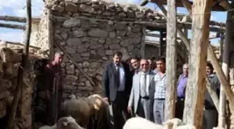 Antalya Bürosu'nun Bölge Haberleri (2)