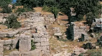 Troia'dan Ölüm Bile Ayırmadı