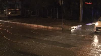 Çorlu'da Fırtına Ağaç Devirdi
