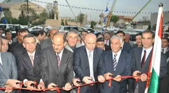 Öz Midyat, Merinos'la Irak'ta