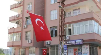 Şehit Halasının Feryadı