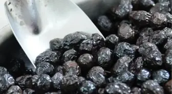 Bursa Ticaret Borsası