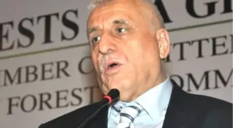 Orman Yangınlarının Maliyeti 300 Milyon Dolar