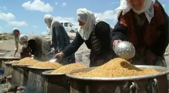 Arakonak Köyü'nde Kış Hazırlığı